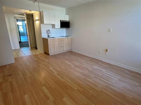 Studio - Saint-Charles-Borromée - $1,049 /mo
