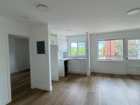 1 CH - 1 SDB - Montréal - $1,250 /mo