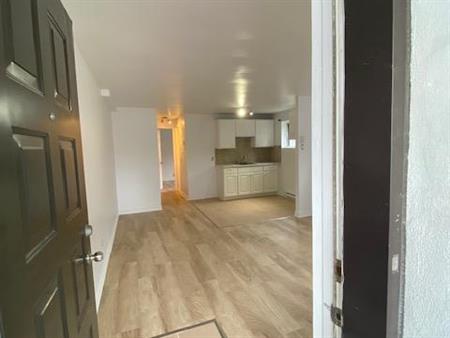 Magnifique appartement 3 1/2 demi-sous-sol complètement rénové, triplex