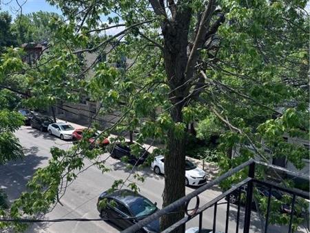 Studio à louer – Plateau Mont-Royal (possibilité de stationnement)