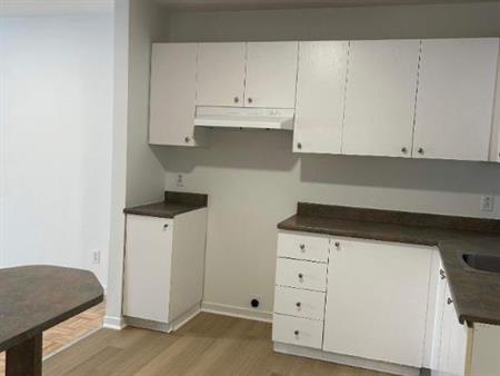 2 CH - 1 SDB - Saint-Charles-Borromée - $1,399 /mo