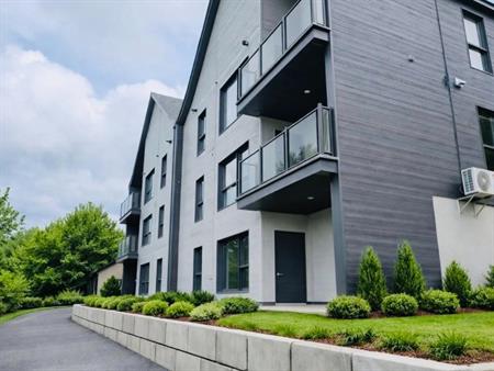 condo 4 1/2 neuf Ste-Agathe