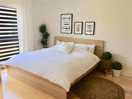Magnifique condo rénové 4½ de 750 pi² face au parc Père-Marquette, un des secteurs les plus recherchés de Rosemont Petite Pat