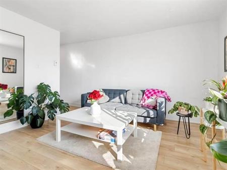 Un Grand 4½ lumineux à Longueuil – Disponible immédiatement