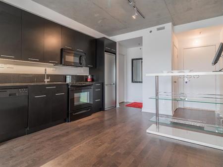 Condo tout meublé a Griffintown