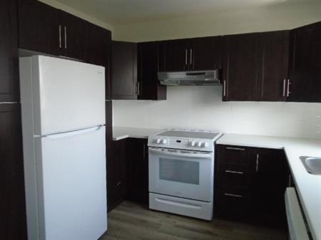 6½ rue Notre Dame Laval LIBRE