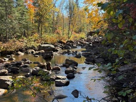 Terrain sur ruisseau prêt à construire (Saint-Donat)