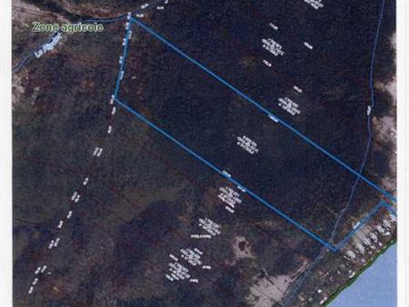 À VENDRE – Terre boisée sur l’Île de Grâce (lot 5592690 Cadastre du Québec)