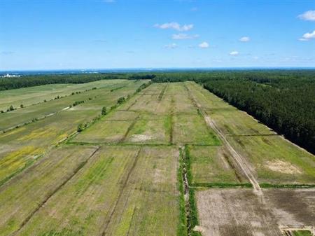 Bécancour (Centre-du-Québec) : Terre agricole de 73 acres, 50 acres en culture, loam sablonneux, forêt mixte, ruisseau