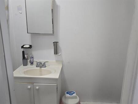 Grand 3 1/2 Plateau Mont-Royal Sous-sol