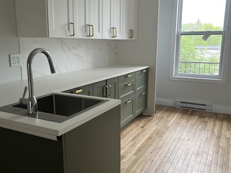 Plateau Mont-Royal | Superberbe 3 1/2