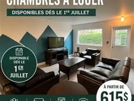 🚨 CHAMBRE À LOUER ! 1er JUILLET