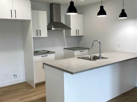 *Magnifique 5 1/2 et 4 1/2 + complétement neuf et moderne*
