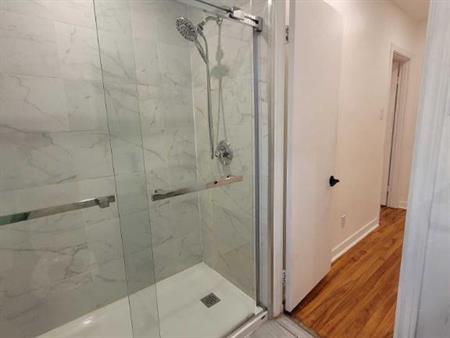 GRAND 3 1/2 - 3485 ELLENDALE - RECEMMENT RENOVE