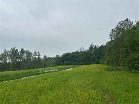 Terrain