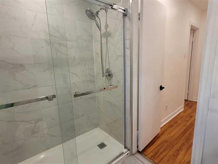 GRAND 3 1/2 - 3485 ELLENDALE - RECEMMENT RENOVE