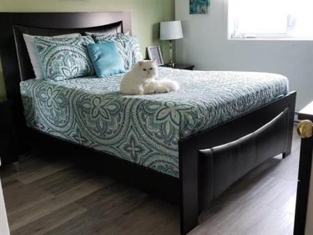 À LOUER – Magnifique 4 ½ très éclairé | 1 500 $/mois