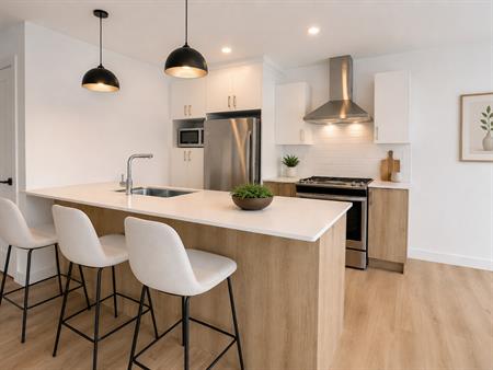 Grand 4 1/2 Moderne -992 Rue Lamarche