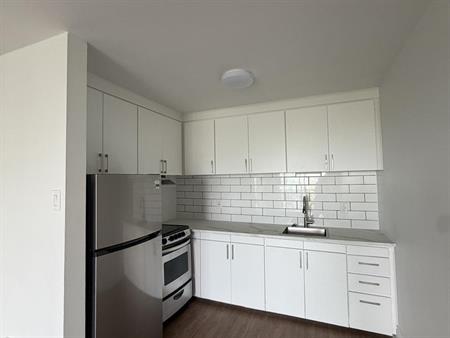 1 Bedroom - 1111 Rue Mistral, Montréal