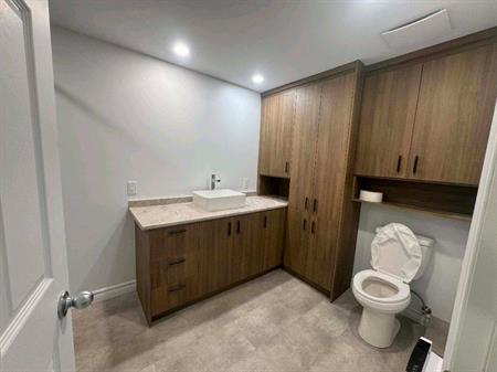 Grand logement 6 1/2 (sous-sol)
