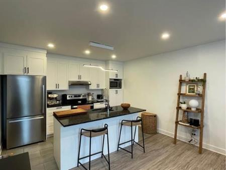 GRAND LOGEMENT LUMINEUX AVEC TERRASSE PRIVÉE À LOUER