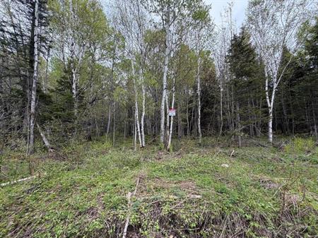 Plusieurs terrains dont certains avec droit de construire... Dans différentes régions du Québec...