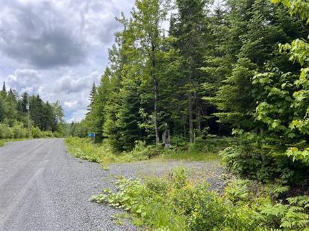 Lac de la Héronnière, Stratford en Estrie. Beau terrain boisé avec ACCÈS notarié au lac à +-400m. Superficie de 45 747 pi.ca.