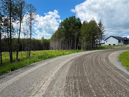 Grand Lac St-François, Lambton, Estrie. Beau grand terrain boisé de 260,7 pi X 291,9 pi. irr. superficie de 75 855 pi.ca. ACC