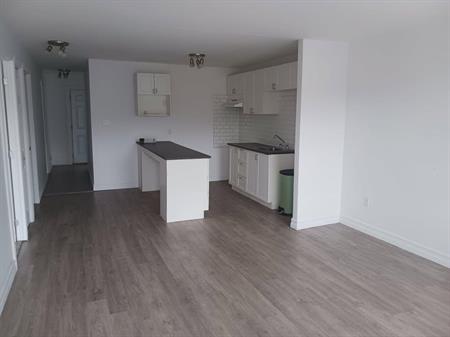 Appartement de 3 chambres et 1 salle de bain