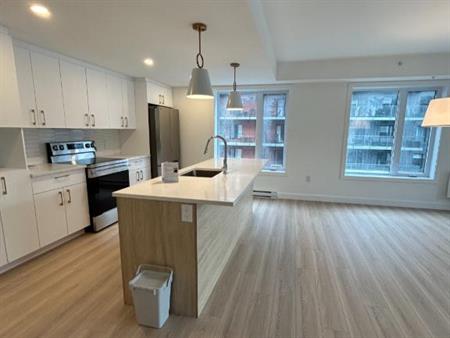 Grand 4 1/2 avec 2 chambres et 2 salles de bains
