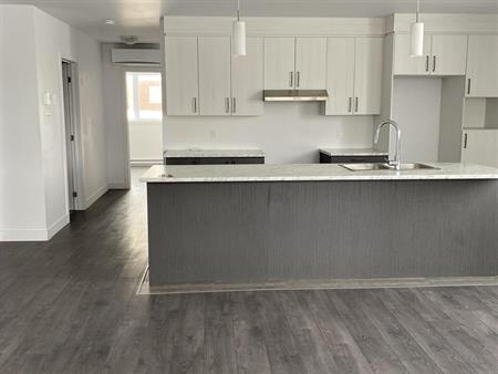 Immeuble 1510-1520 Rue Lionel-Giroux, Drummondville Appartement 5 Et Demi à Louer