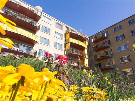 4 1/2 SILLERY PLAZA - PROMENADE CHAMPLAIN- 1er décembre