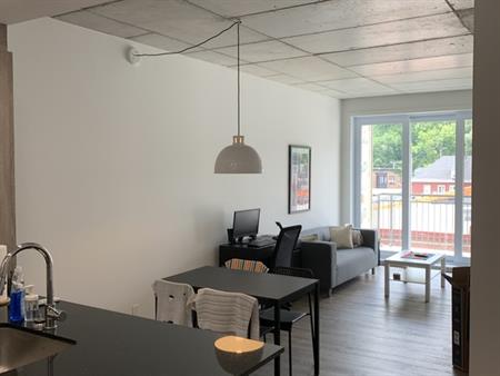 Lumineux 3 1/2 St-Roch