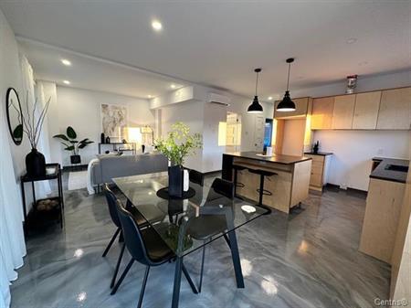 Logement Luxueux Et à Aire Ouverte