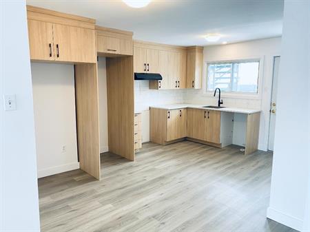 Logement 4.5 Sainte-Rosé rénové, tranquille