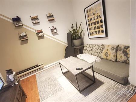 2 BDR apartment on the Plateau close to parc Lafontaine, $1875/month