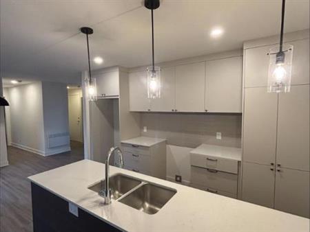 2 CH - 1 SDB - Saint-Hyacinthe - $1,400 /mo