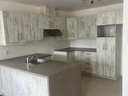 Magnifique 4 1/2 à louer à Lévis avec garage + espace vert
