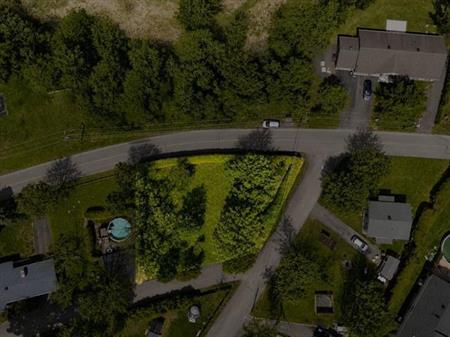 Terrain