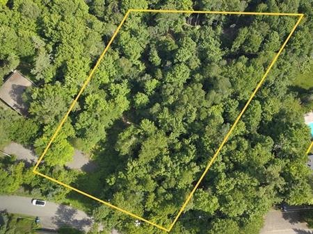 Terrain