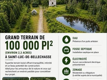 Grand terrain boisé de 100 000 pi² à vendre – Saint-Luc-de-Bellechasse – 99 000 $