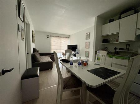 Appartement 3 ½ à louer Beauport août 2026