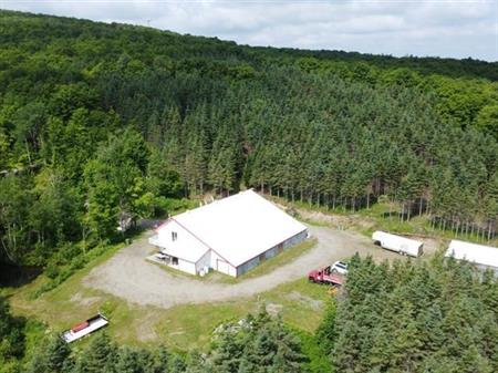 St-Sylvestre (Chaudière-Appalaches) : Érablière de 70,55 acres