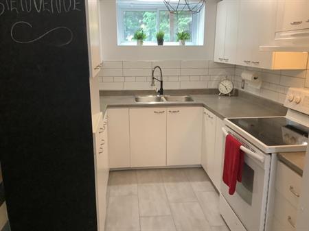 Beau logement air ouverte entière rénové!