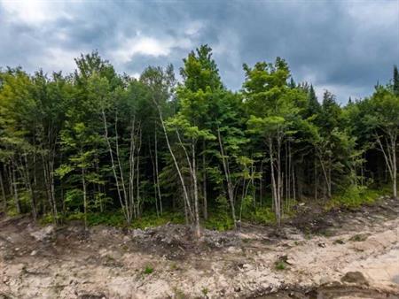 Terrain boisé à vendre — Les Boisés de la Sucrerie, Eastman (à partir de 190 000$)