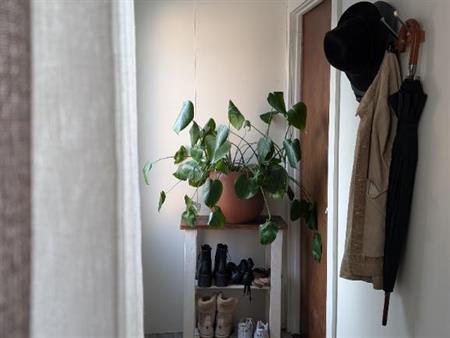 Logement 1 chambre et 1 salle de bain- animaux acceptés