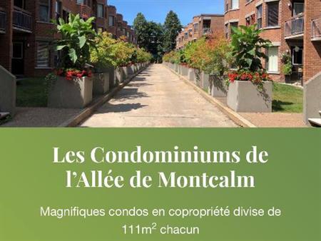 Grand 4 1/2 (2 chambres, 2 salles de bain) dans Montcalm