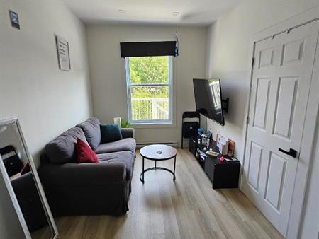 3 1/2 lumineux et meublé à louer Rosemont Petite- Patrie / Petite Italie à 10 min de Beaubien
