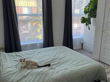 Appartement de 1 chambre et 1 salle de bain