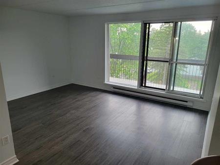 Très Bel Appartement Studio à Louer - Une Personne - Boulevard des Sources - DDO; Aussi 3 1/2, 4 1/2